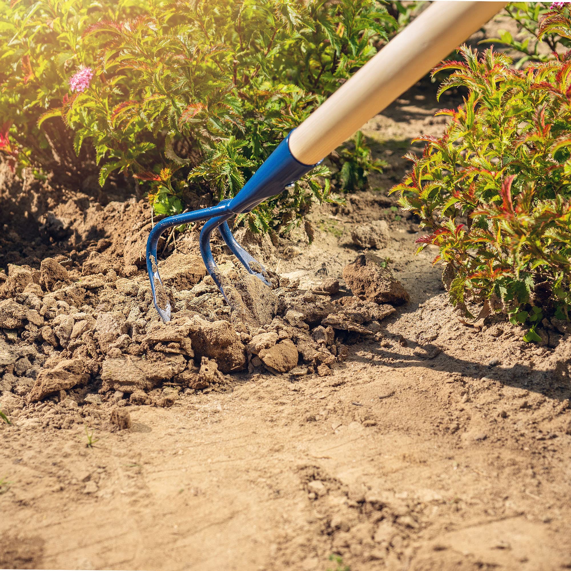 Allecto Plus - Tuinhak Met Handvast, Grafpuistje Voor De Grond Losmaken In De Tuin