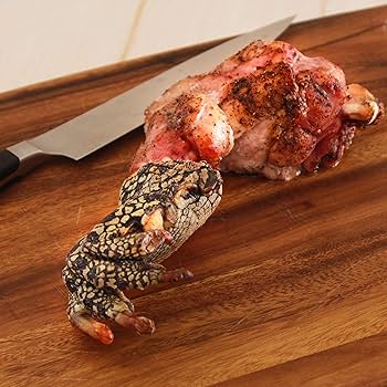 Amazon.co.jp: Whole Meat ワニ肉 （ワニ足） 骨付き足 400g