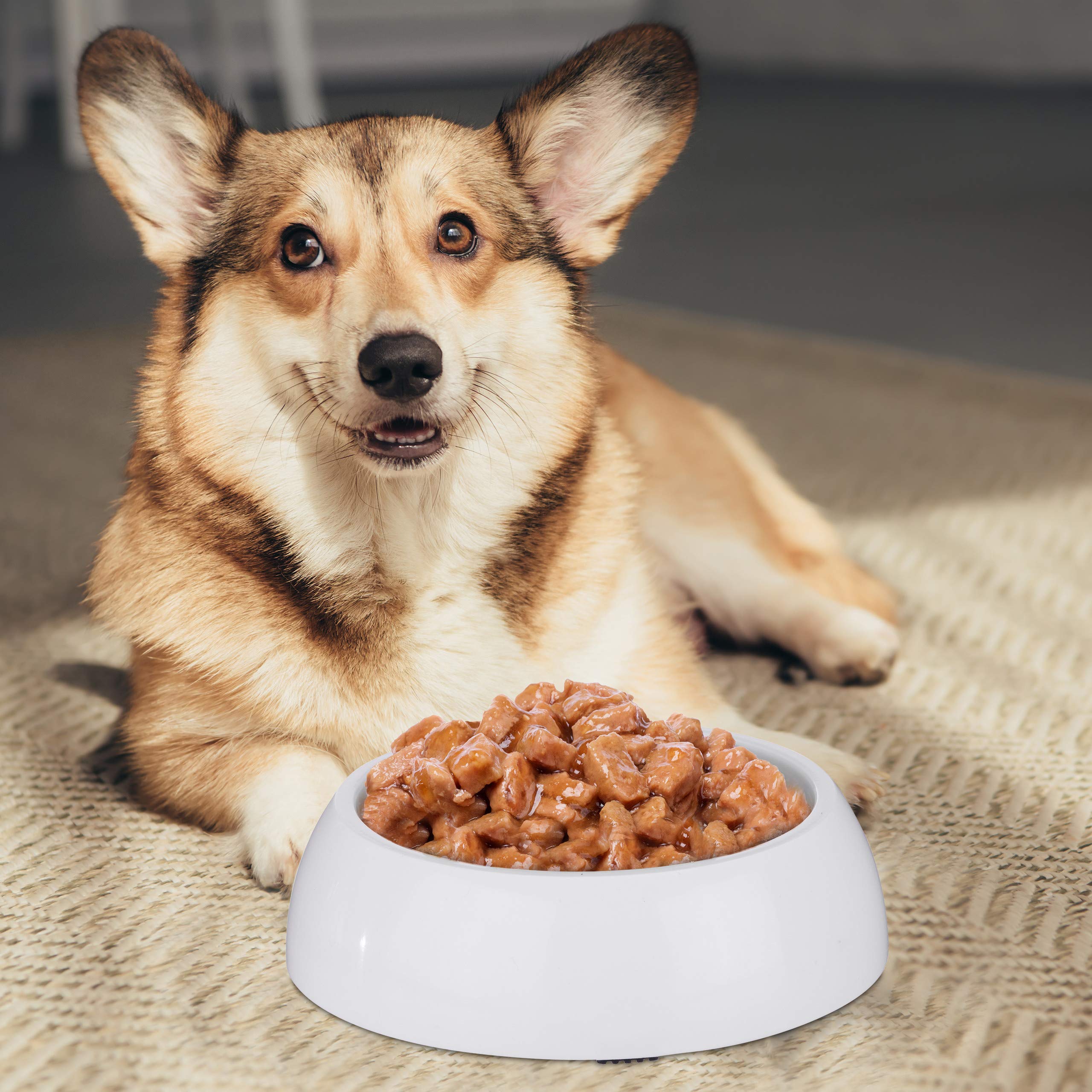 Relaxdays Ciotola Anti-Ingozzamento per Cani e Gatti, per Una Lenta Assunzione del Cibo, Lavabile in Lavastoviglie, Bianco