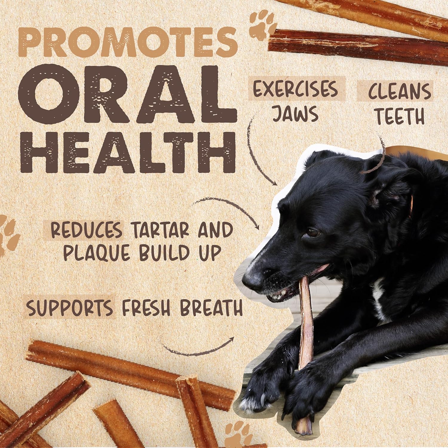Mighty Paw Naturals Bully Sticks for Small & Medium Dogs - Grass Fed Beef Chews. Bully Sticks for Large Dogs. Lower Odor Stick Treat. Single Ingredient (12" - 10 Pack)
