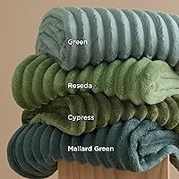 Vista 7 de Bedsure GentleSoft Cobija para sofá, suave y acogedora para mujeres, de vellón, pequeña para niñas, color verde salvia claro tamaño individual 60 x