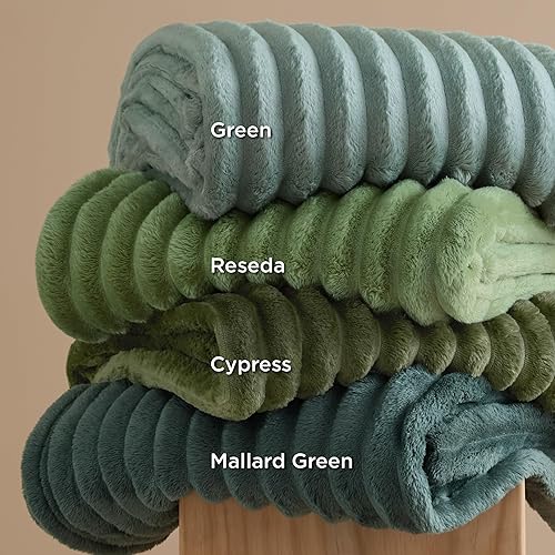 Miniatura 99 de Bedsure GentleSoft Twin Blanket for Couch - Cozy Soft Blankets for Women, Cute Small Fleece Throws for Girls, Light Grey, 60x80 Inches