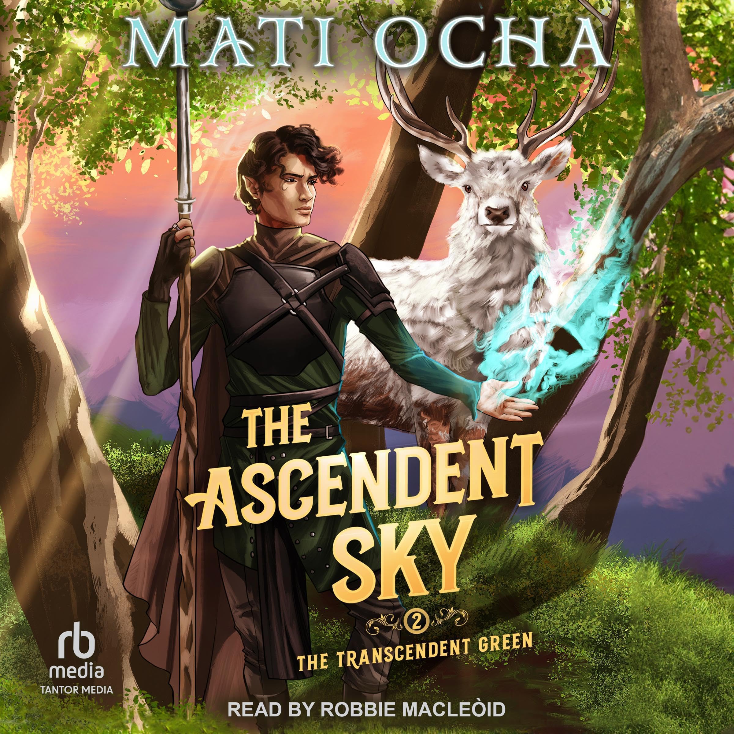 Cover art for The Ascendent Sky