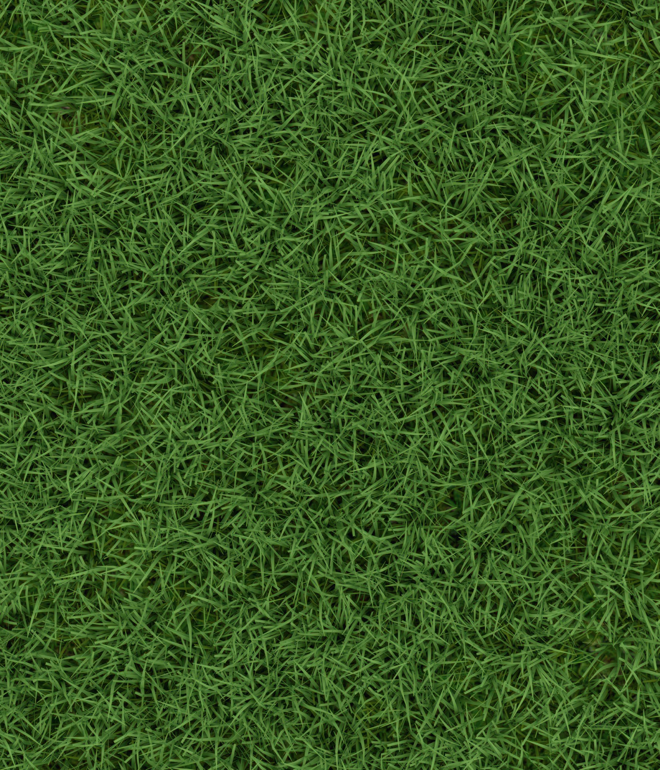 Dehner 5802442 materiał siewny trawnika, naturalny