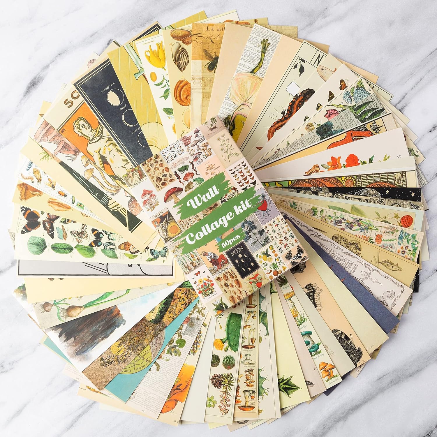 8TEHEVIN 50PCS Botanical Illustration Tarot Aesthetic Pictures Wall Collage Kit, Trendy Small Poster for Dorm, Vintage Style Art Print Photo Collection, Bedroom Decor for Teens Boys Girls