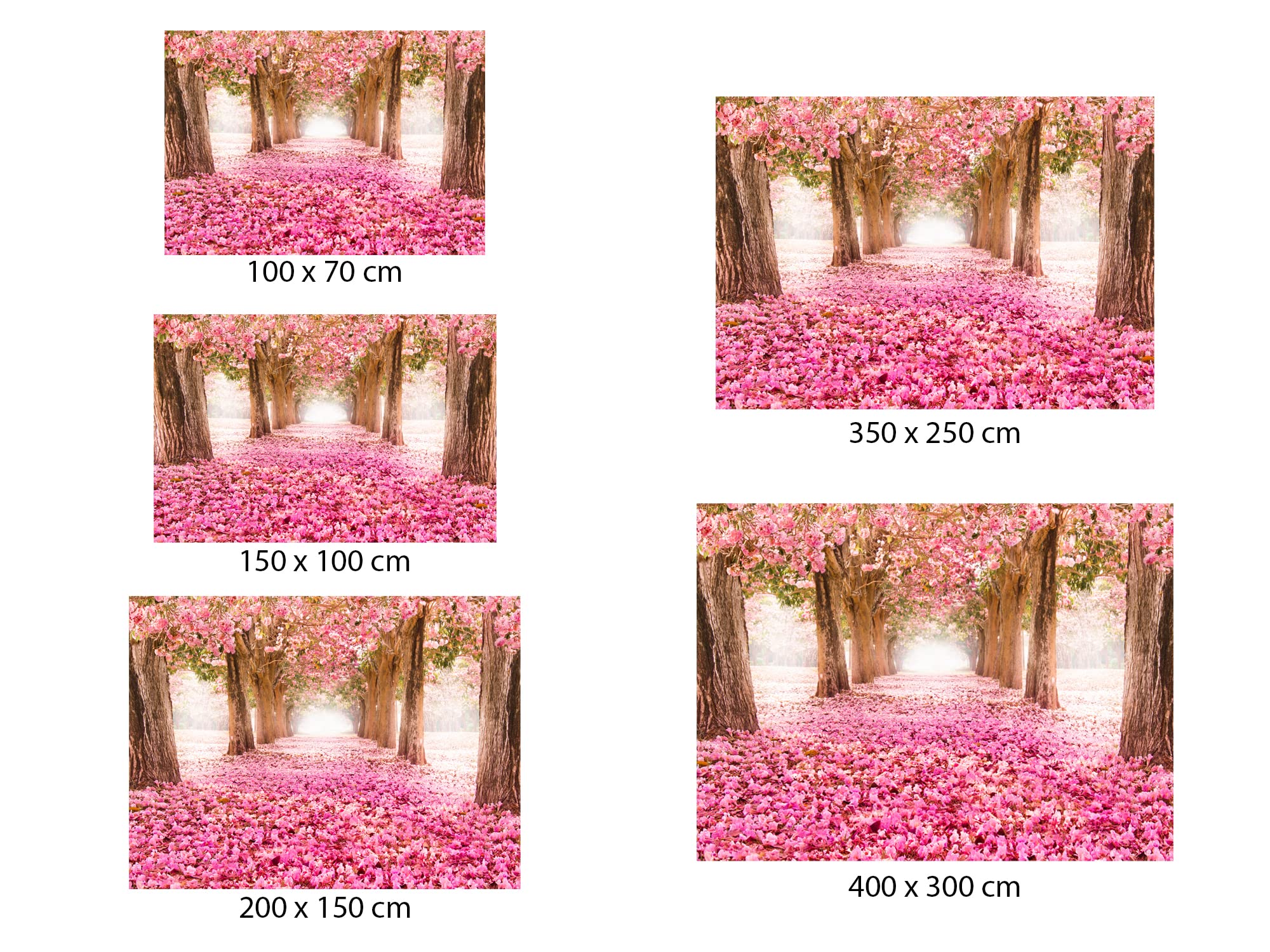Oedim Fotomural Vinilo para Pared Paisaje Rosas | Vinilo Económico | Fotomural Vinilo Decorativo | 150 x 100 cm | Decoración comedores, Salones, Habitaciones