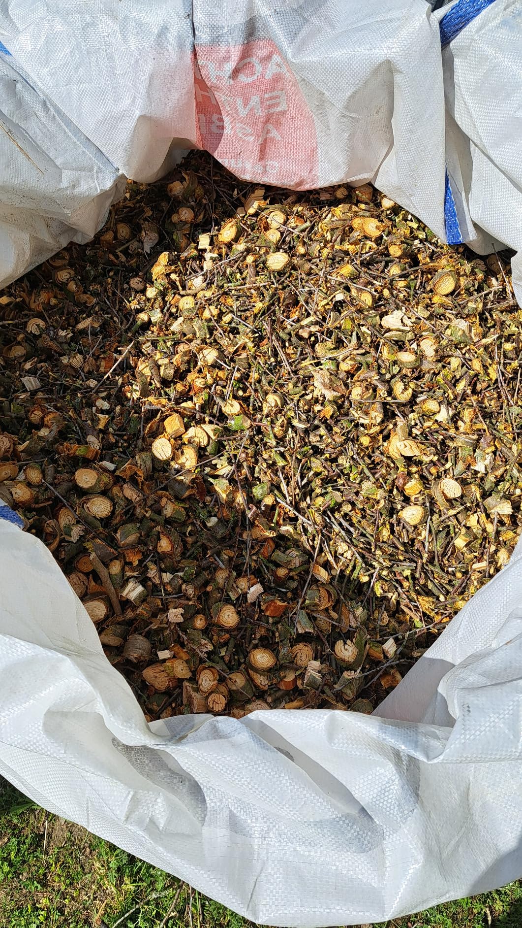 Genau das, was ich gebraucht habe: ein Häcksler, der richtig viel wegschafft!