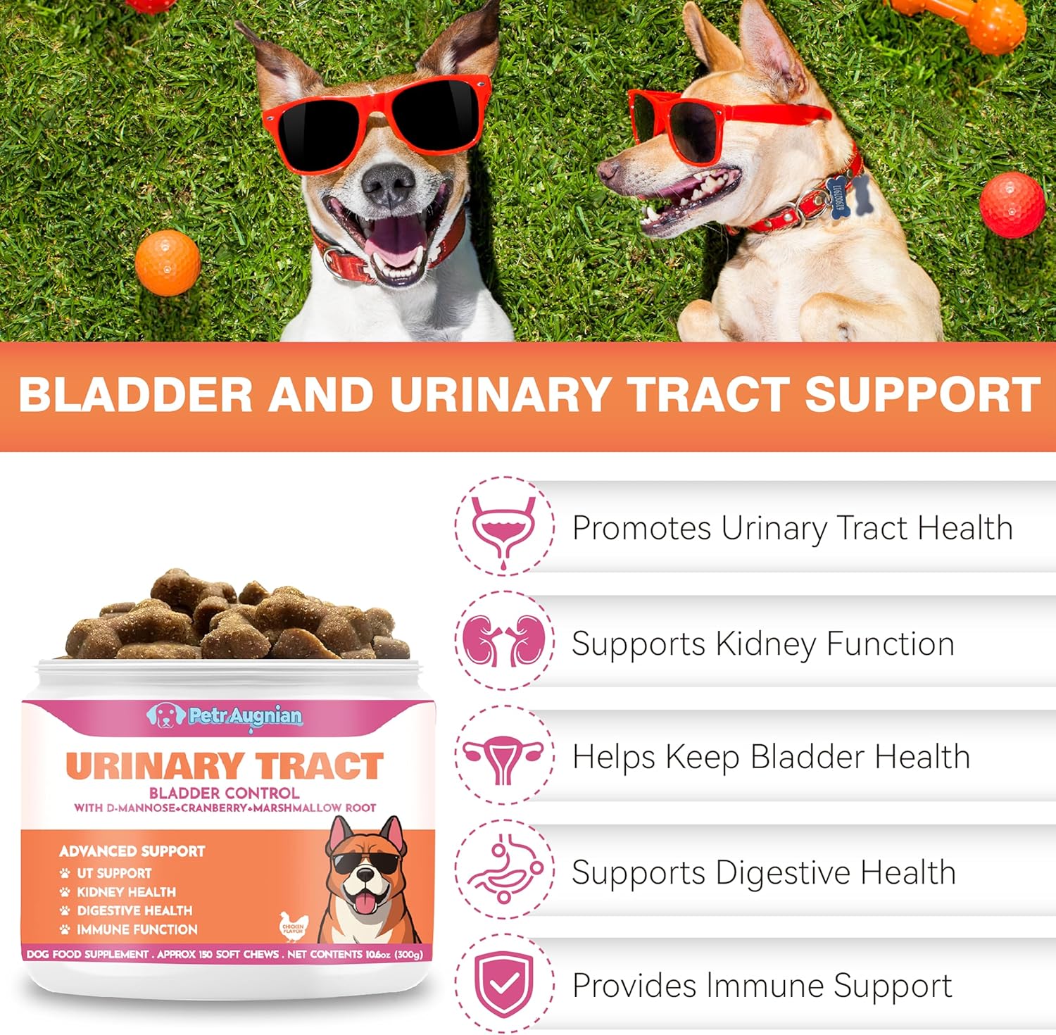 Dog Urinary Tract Supplement & Natural UTI Medicine Cranberry & D-Mannose -Kidney+Bladder Support - Best Prevention Incontinence & Bladder Stones-Cranberry Supplement - 150 Chews