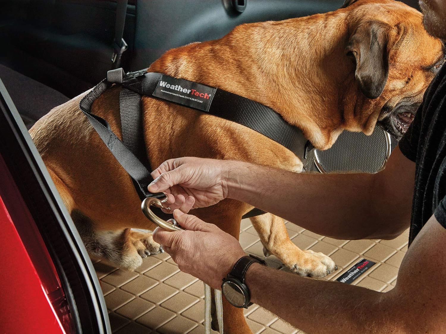 WeatherTech Pet Safety Harness - Keeps Your pet Safe and Secure While on-The-go - XX-Large Black (84PH3749BK)