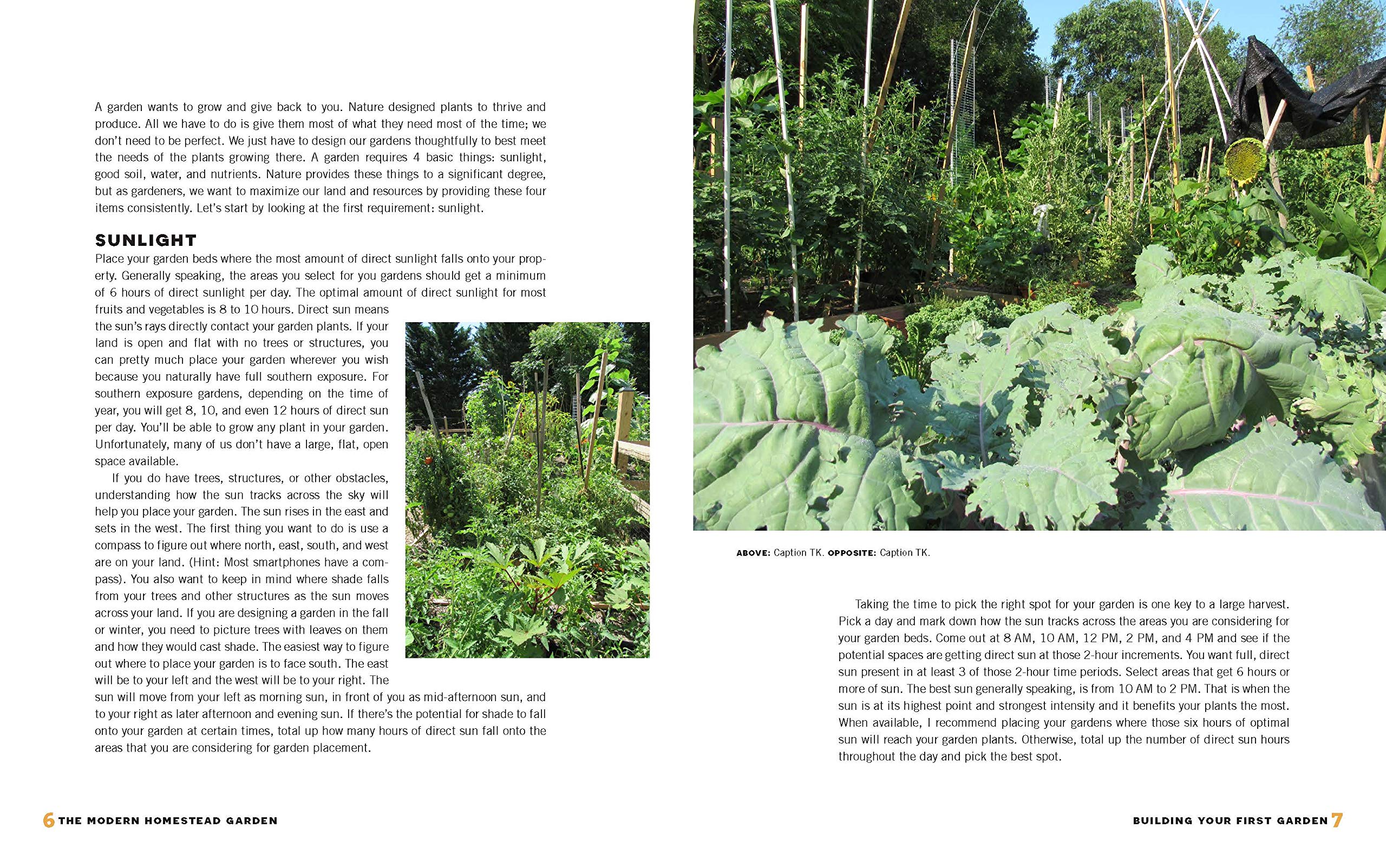 Grow Your Own Food: The Modern Homestead Garden -3 Grow Your Own Food: The Modern Homestead Garden -3