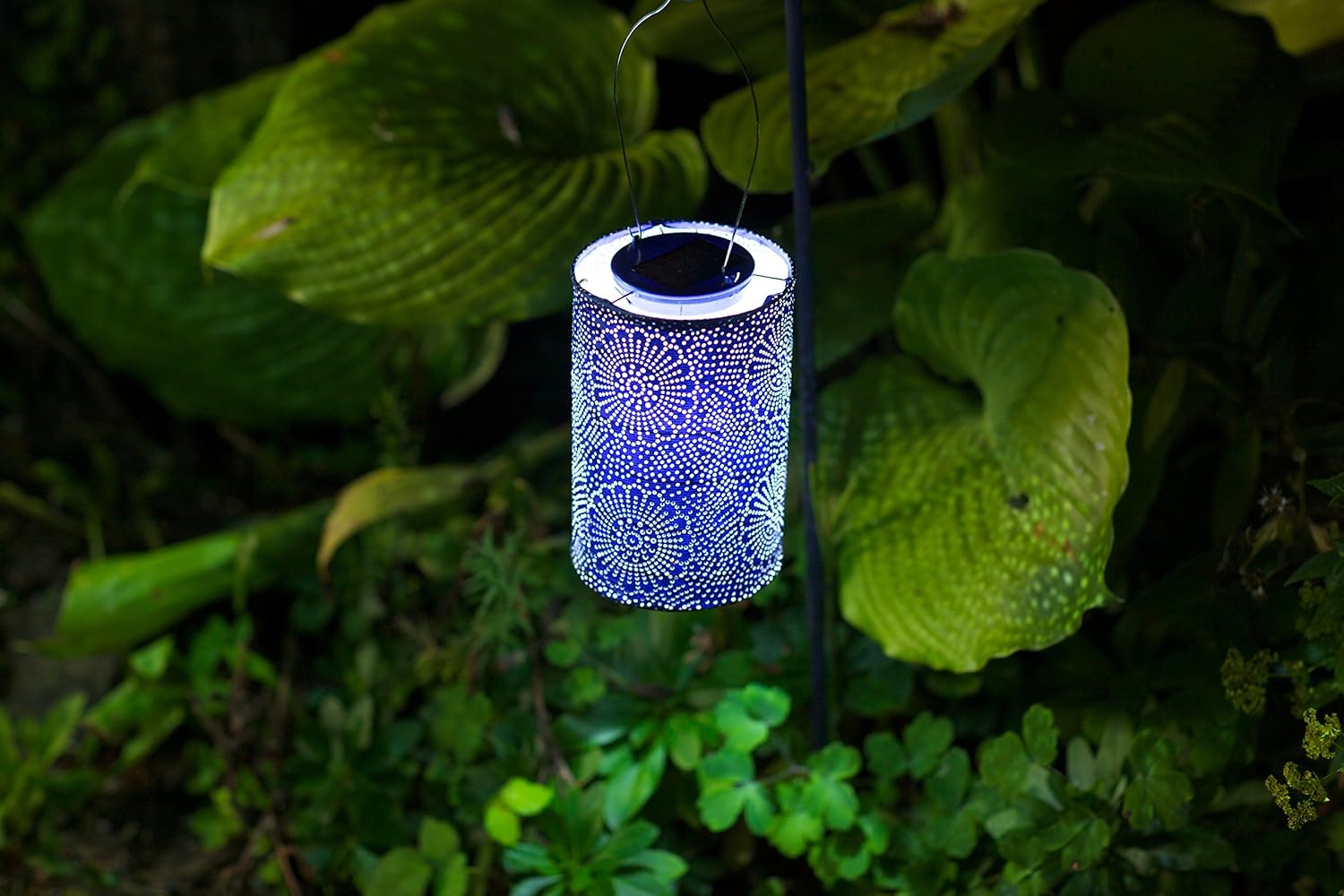 Allsop Stella Solar Lantern