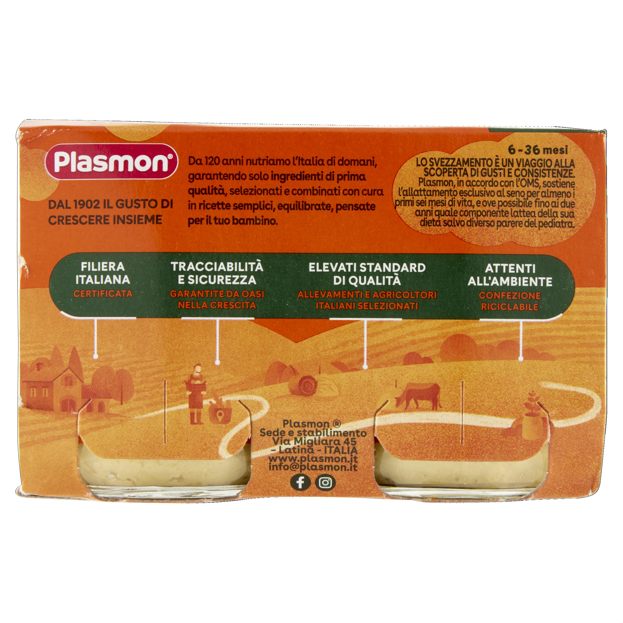Plasmon Omogeneizzato Scoperte di Gusto Pollo, Fagiolini e Zucchine, 2x120g (12 Confezioni)