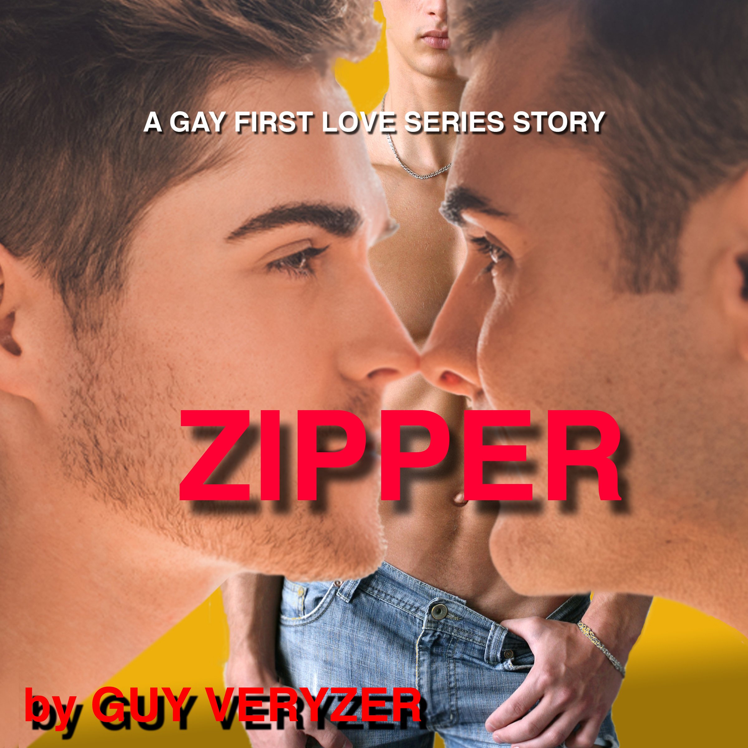 Cover art for Zipper