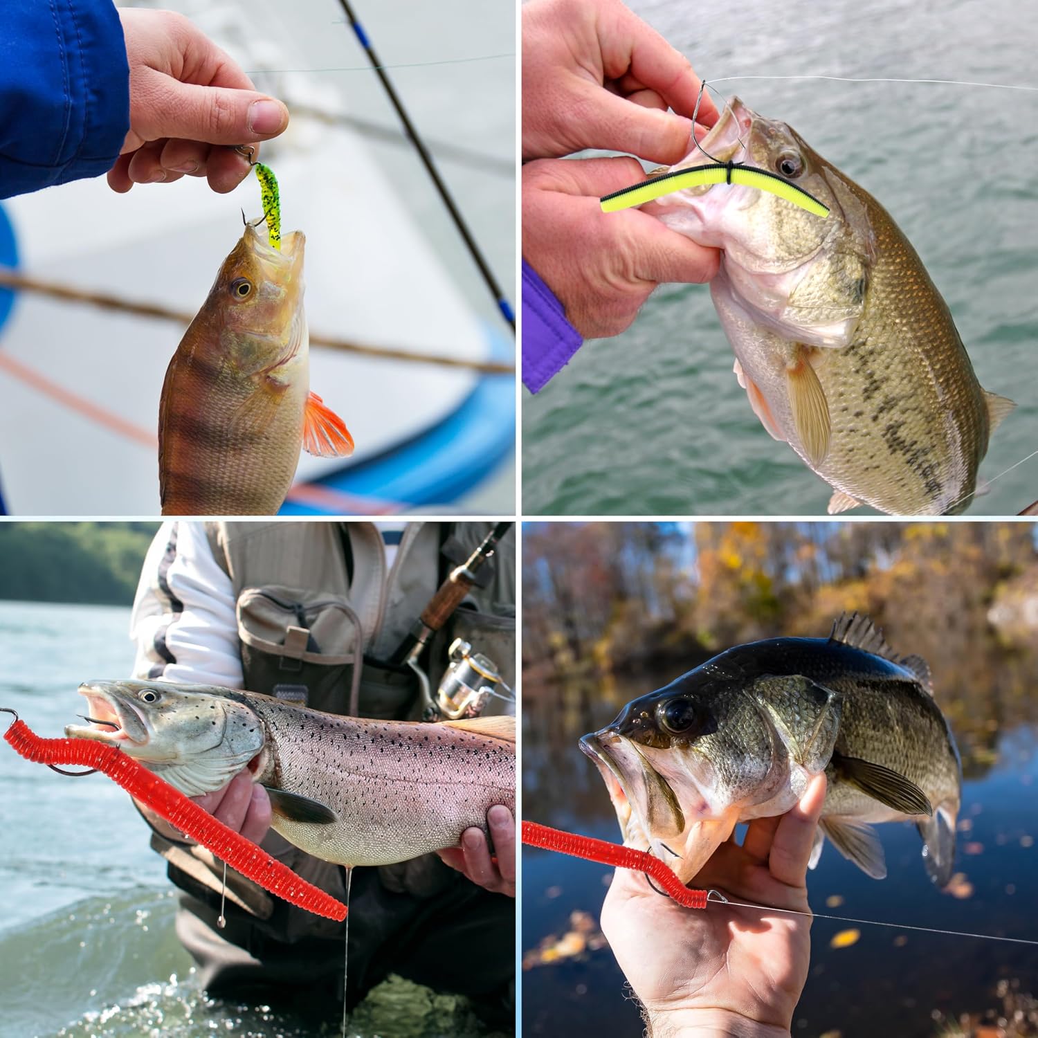 Wacky Rig Fishing Worm Kit, Wacky Soft Bait Weedless Hook Jig Head Hook O-Rings Wacky Rig Tool Fishing Lures Tackle Box Kit