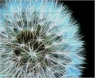 Trademark Fine Art ' Dandelion Seed Head Full ' Wood Slat by Kathie McCurdy 18x22