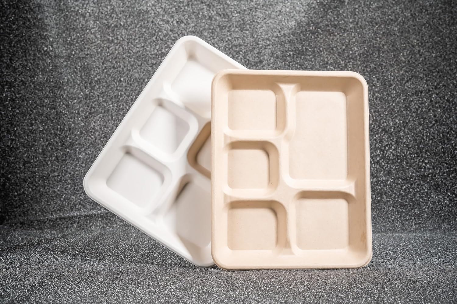 Eland Compostable Plates with Compartments, 5 Compartment Plates Disposable Heavy Duty, Food trays disposable. School Lunch Tray, Plate Dividers, No PFAS, Natural Color-10" x 8"[400-pack]