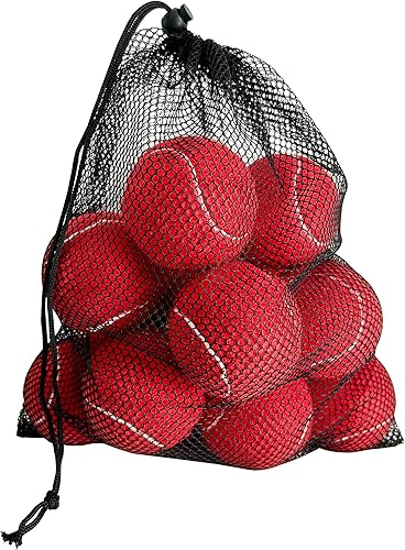 Pelotas de tenis, paquete de 12 pelotas de tenis de práctica para principiantes, entrenamiento para jugar pelotas de tenis para perros, vienen con