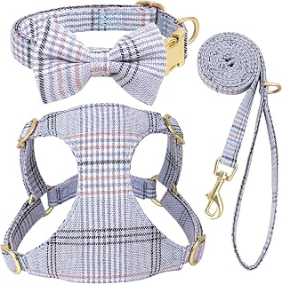 Beirui Harness