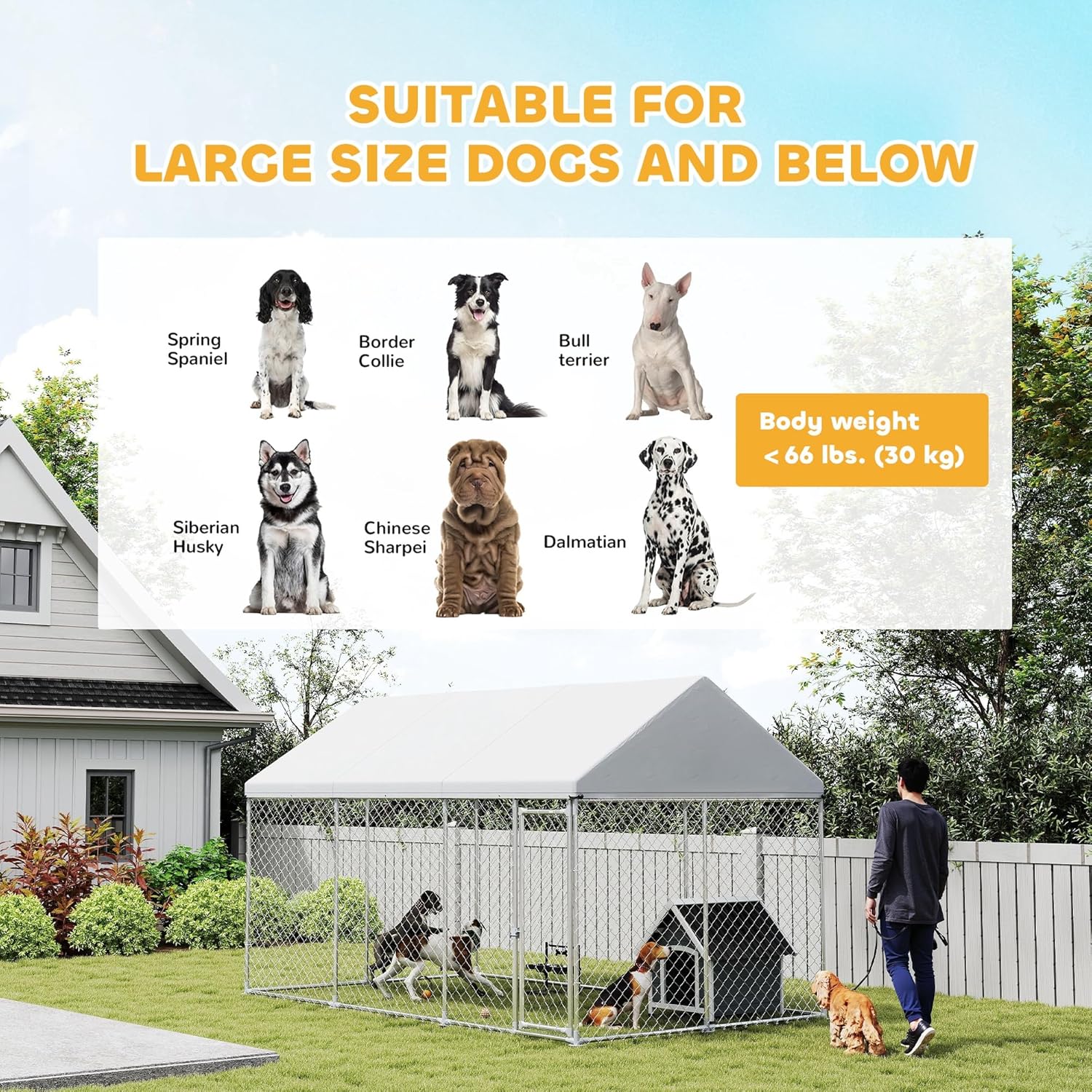 Suitable dog breeds and weight limit