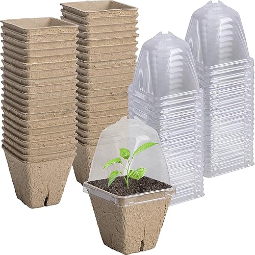 Miniatura 8 de PURPLE STAR 1N 40 macetas de inicio de siembra para plantar, macetas cuadradas biodegradables de 3.1 pulgadas con cúpula de humedad, macetas de