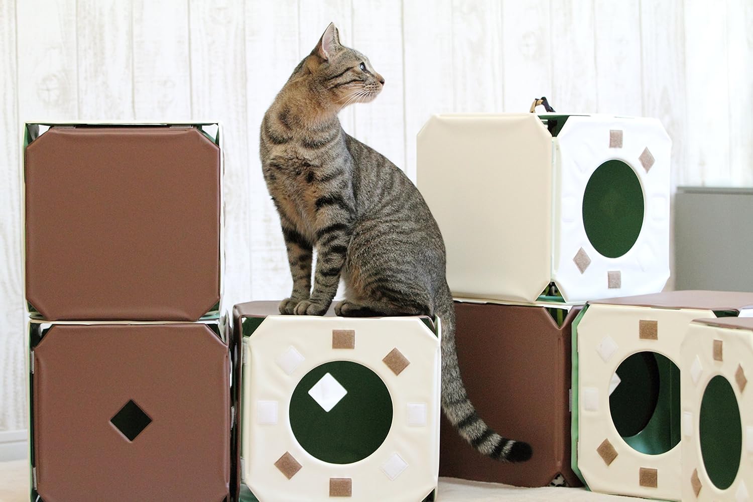 楽天市場 【抗菌対策・水洗いが可能】［猫ジム］日本製 ボックス連結 