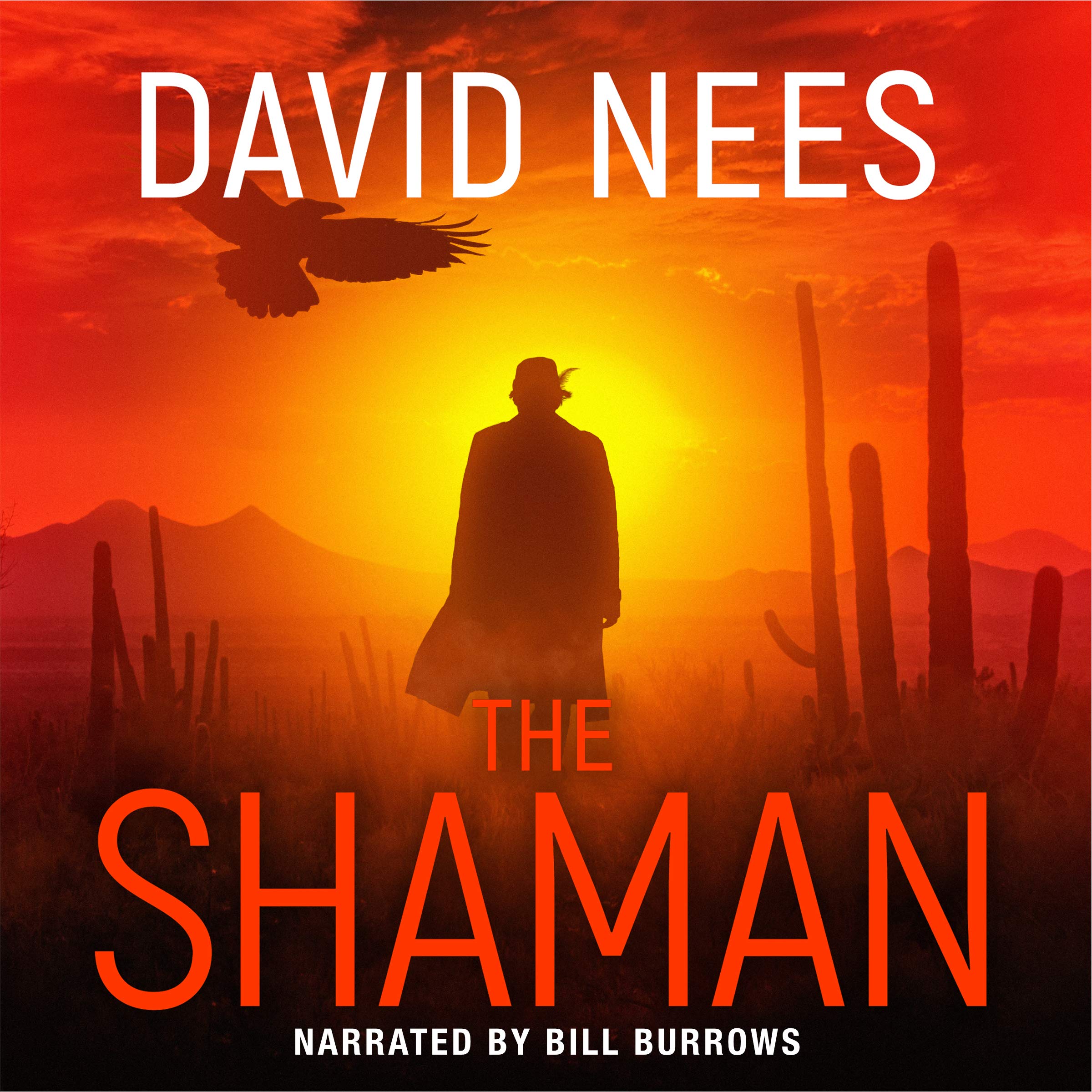Cover art for The Shaman