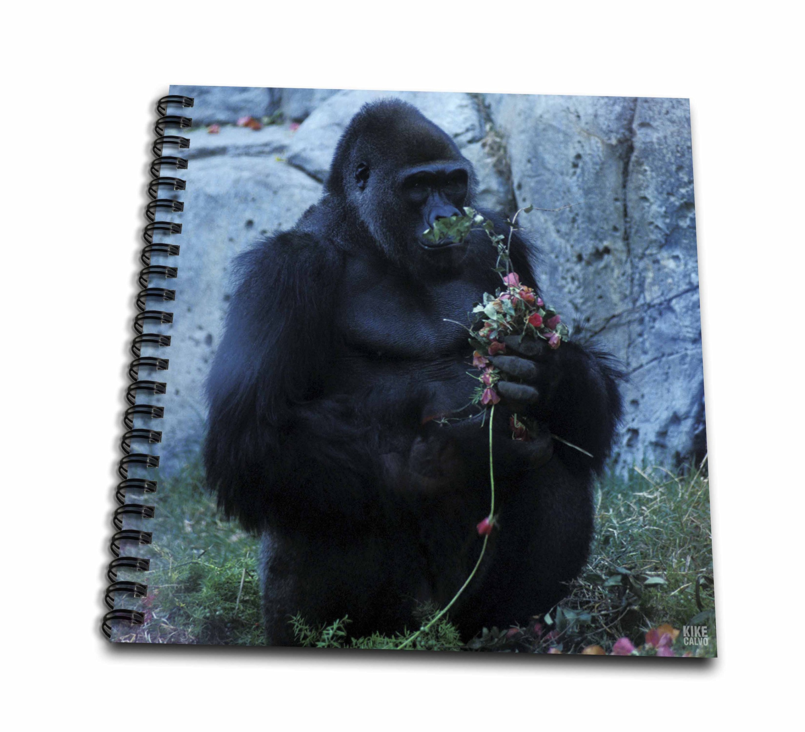 Livre de mémoire Lowland Gorilla pour décorer votre salon et ranger vos photos de safari africain