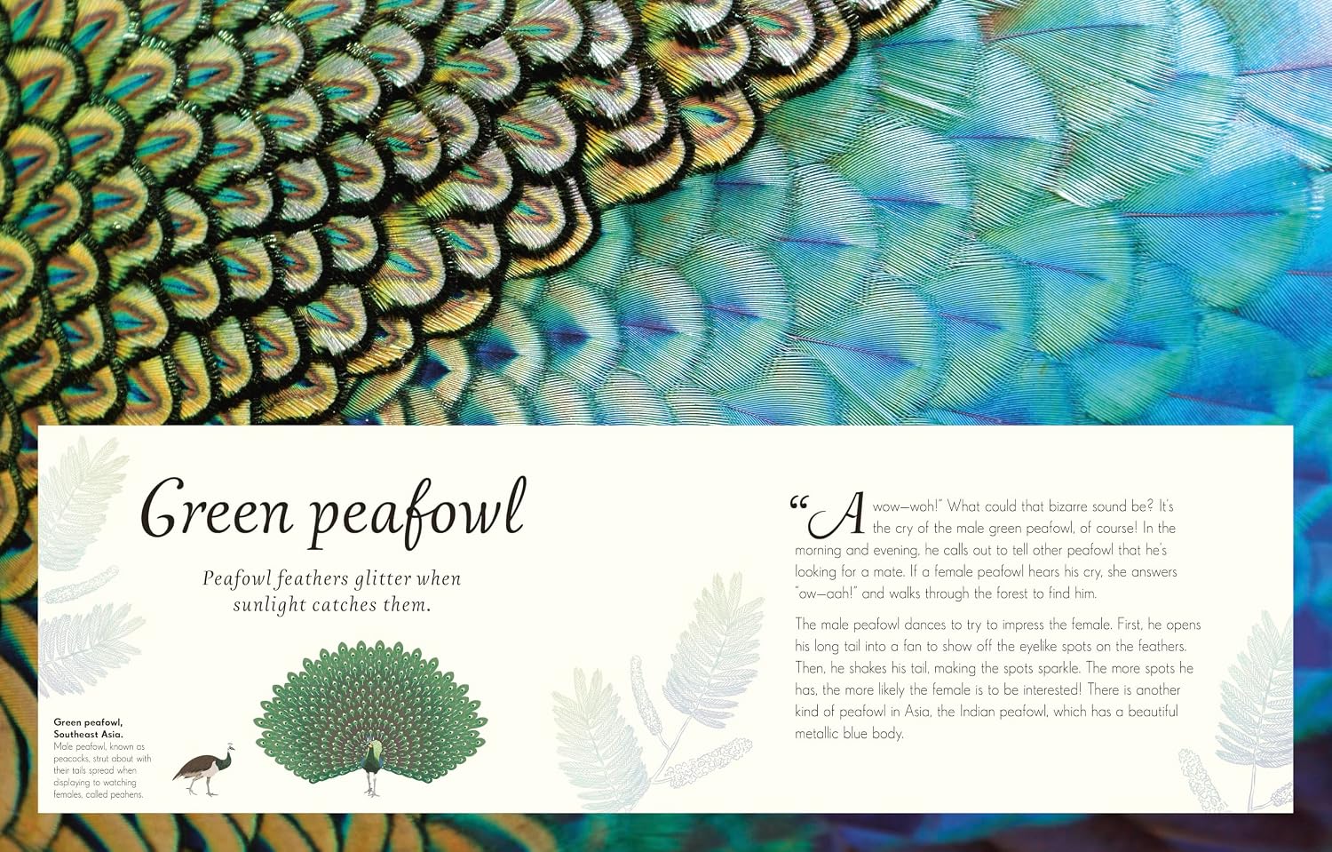Children's Anthologies Collection: Earth, Sea and Sky      Product Bundle – November 3, 2026
