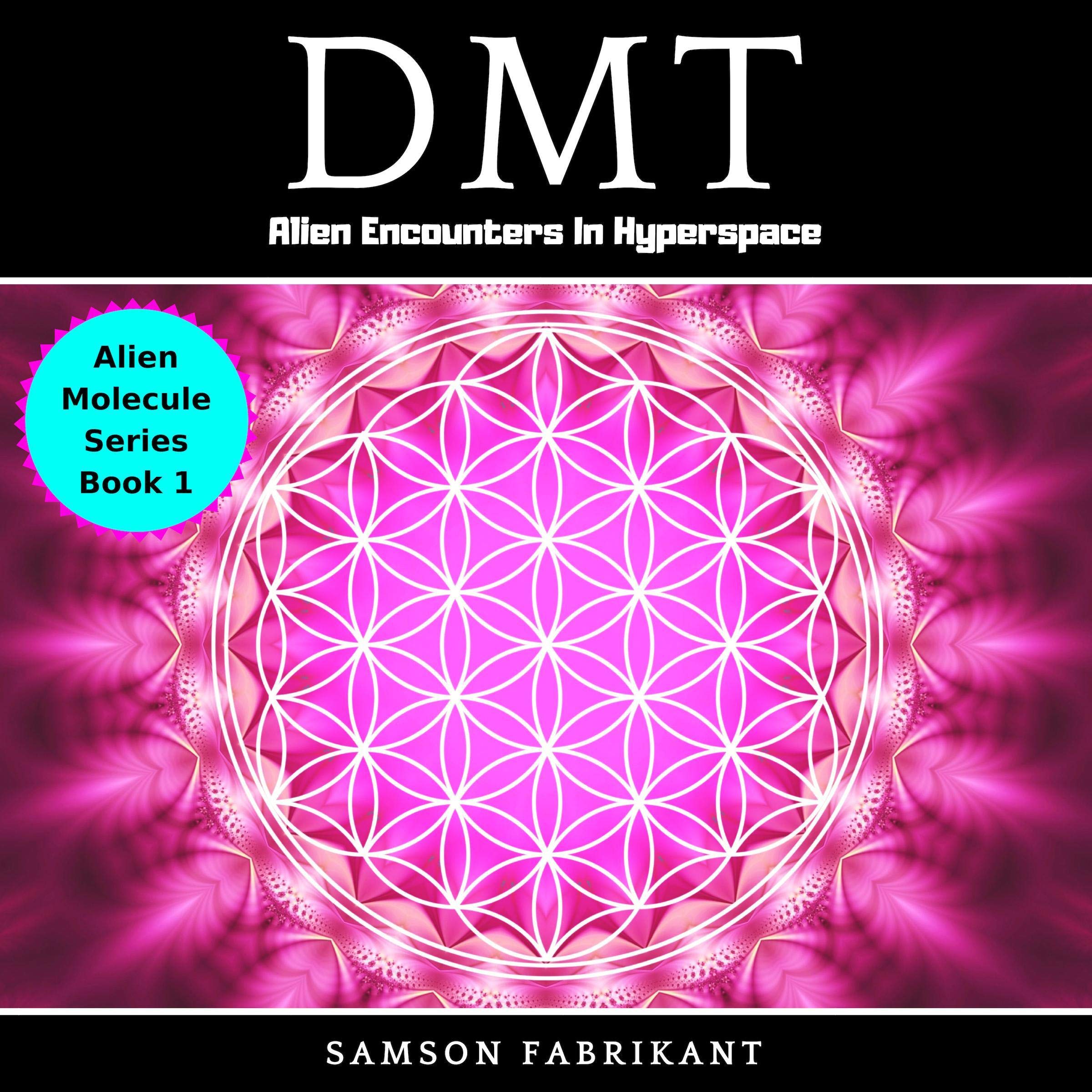 Cover art for DMT: Alien Encounters In Hyperspace
