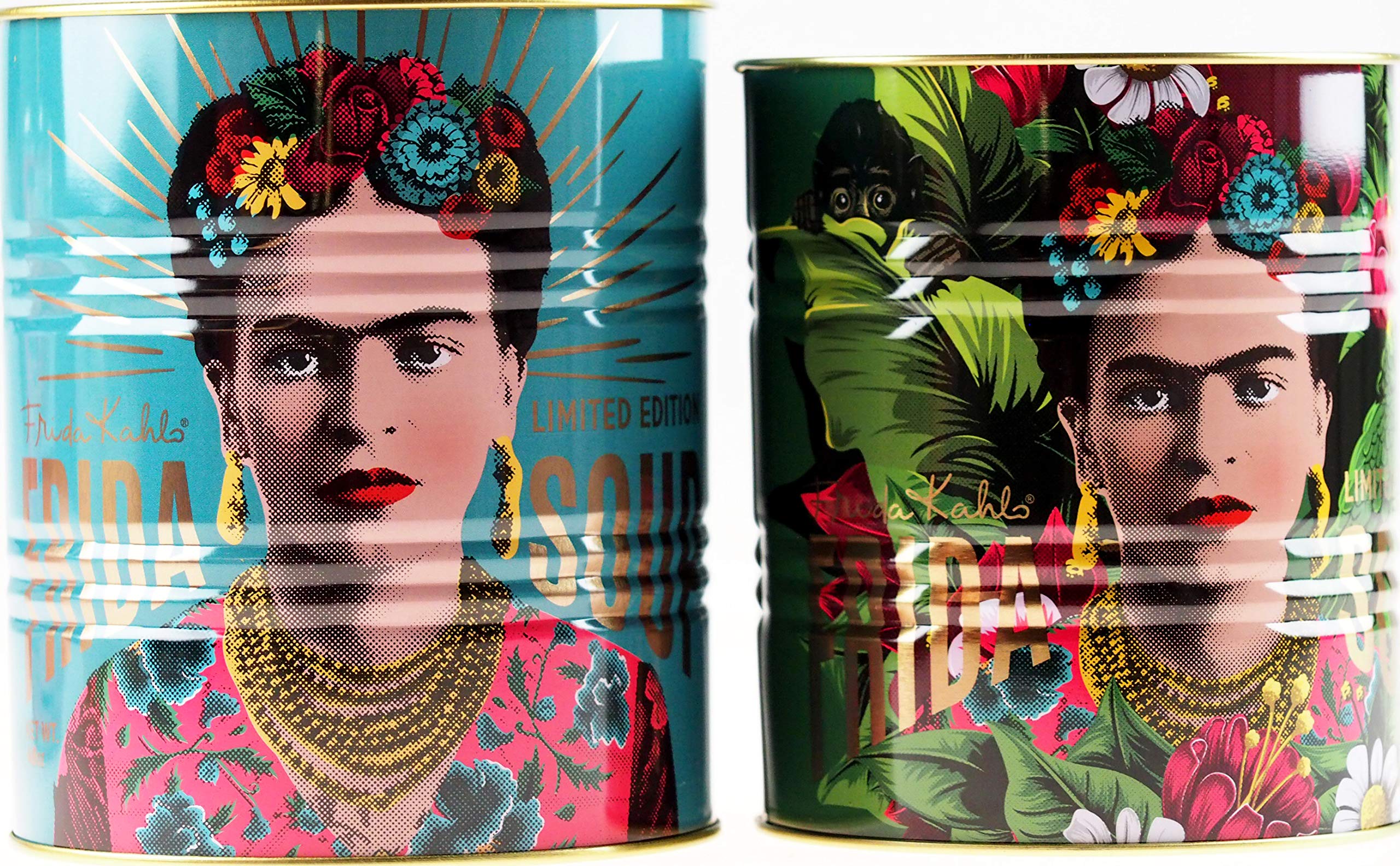 Temerity Jones Blue Green Set Of 2 Frida Storage Tins