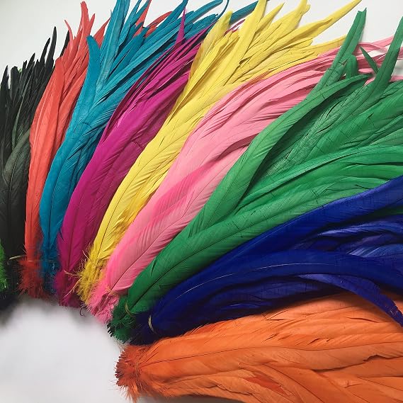 Sowder Rooster Coque Tail Feathers 14-16inch(35-40cm) for Costume DIY Crafting Home Wedding Decoration Tying Feather Party Performances Pack of 20 (Black)