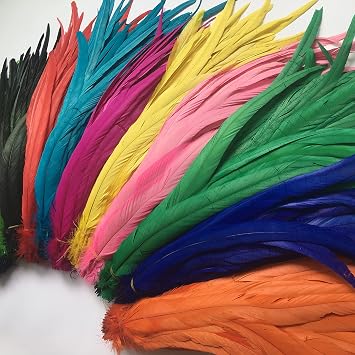 Sowder Rooster Coque Tail Feathers 14-16inch(35-40cm) for Costume DIY Crafting Home Wedding Decoration Tying Feather Party Performances Pack of 20 (Black)