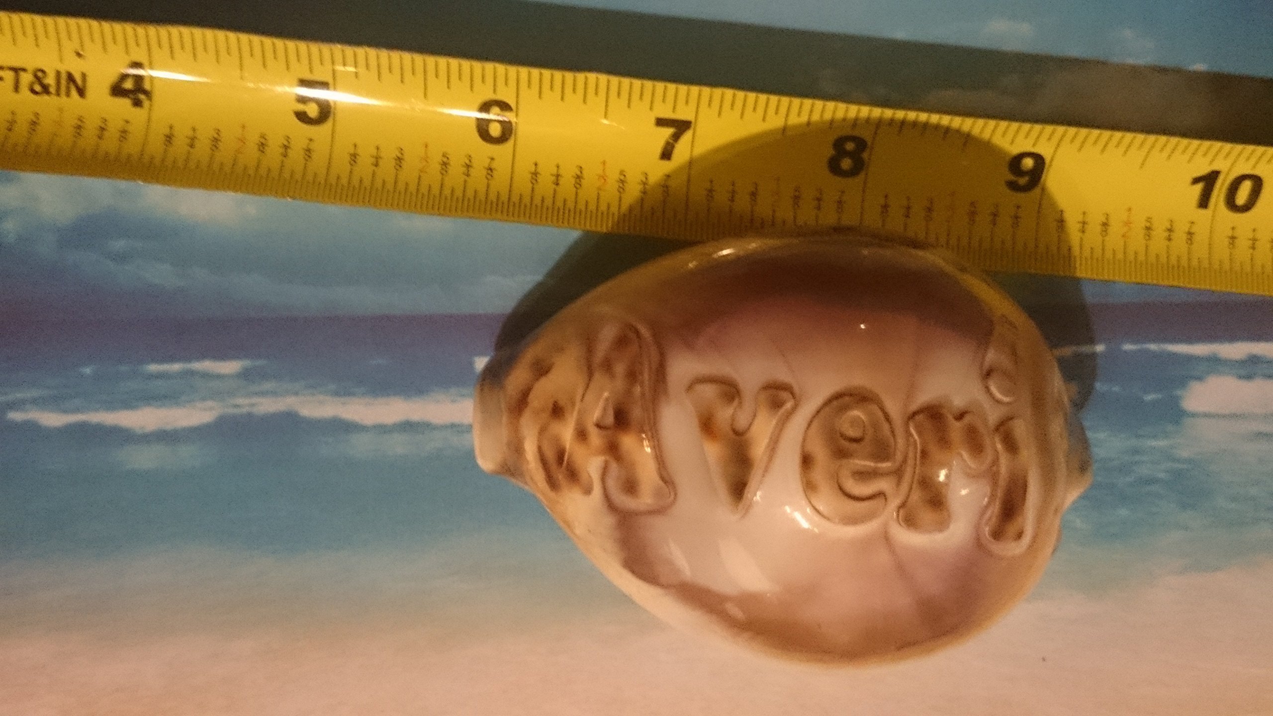 'Averi' Personalized Name Engraved on a Tiger Cowrie Seashell. Hand Made - All Natural - Say It On A Shell