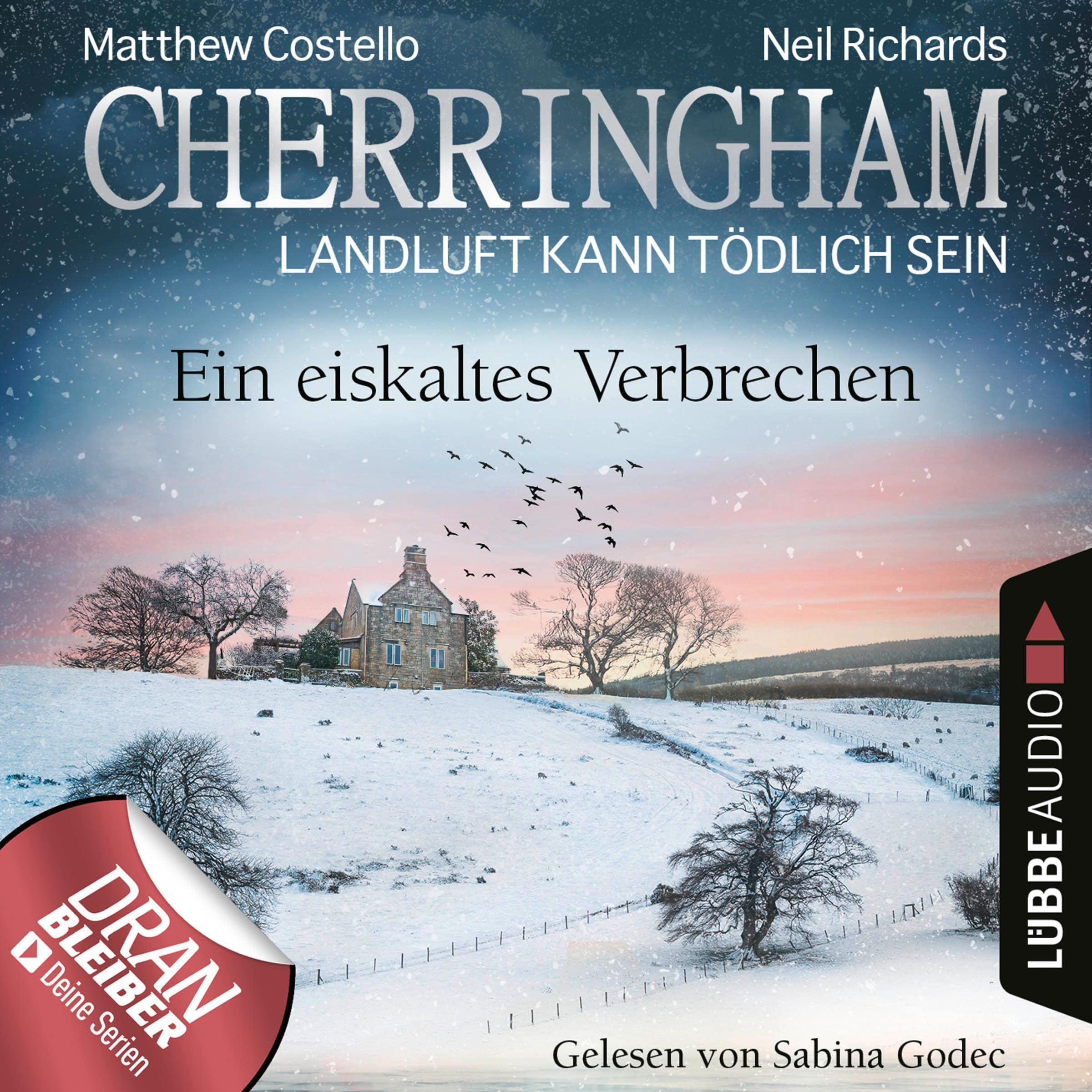 Cover art for Ein eiskaltes Verbrechen