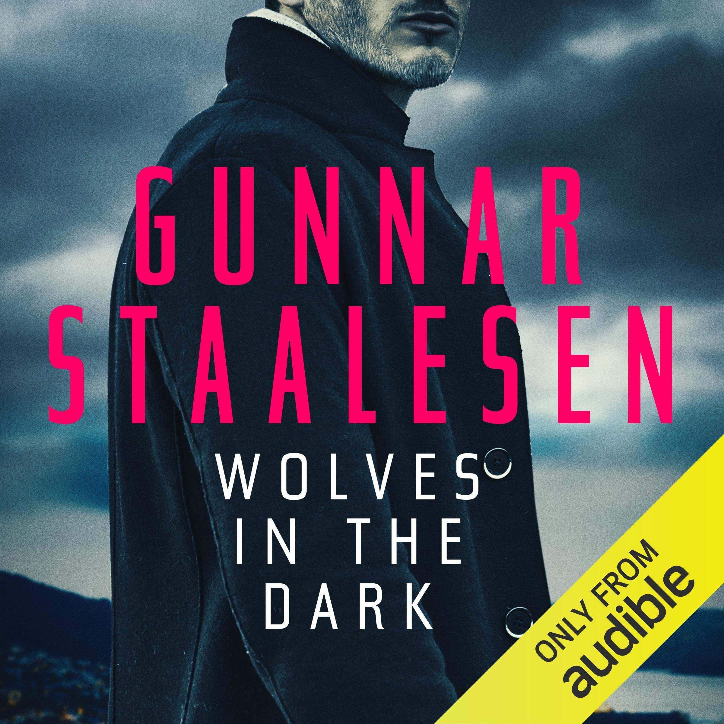 Cover art for Wolves in the Dark