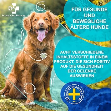 European Pet Pharmacy SENIOR Joint Care Hund Nahrungsergänzungsmittel Hund für Senioren – Glucosamine Chondroitin - Joint Care für Hunde im Alter von 7+ Jahren - 200 Gelenktabletten für Hunde