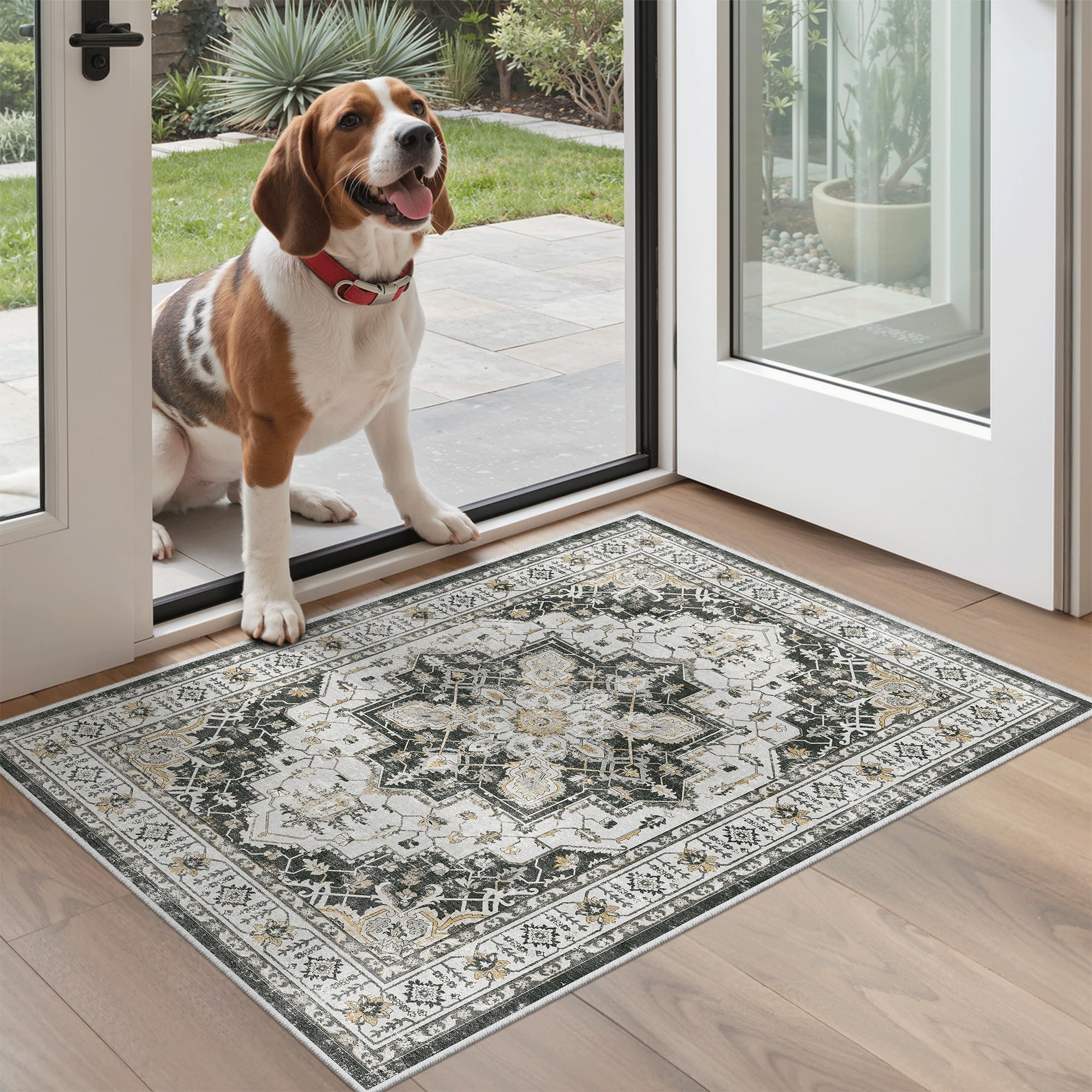 Madane Washable Area Rug 2x3, Small Entryway Rug Non-Slip Vintage Door Mat Indoor Entrance, Low Pile Floor Carpet for Inside Front Door Bedroom