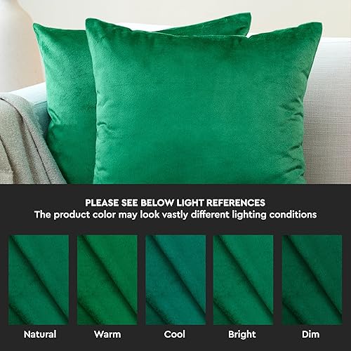 Miniatura 3 de Encasa - Juego de 2 fundas de almohada de terciopelo, color verde, de 24 x 24 pulgadas  23.6 x 23.6 in, lisas, teñidas, suaves y lisas, sin relleno,