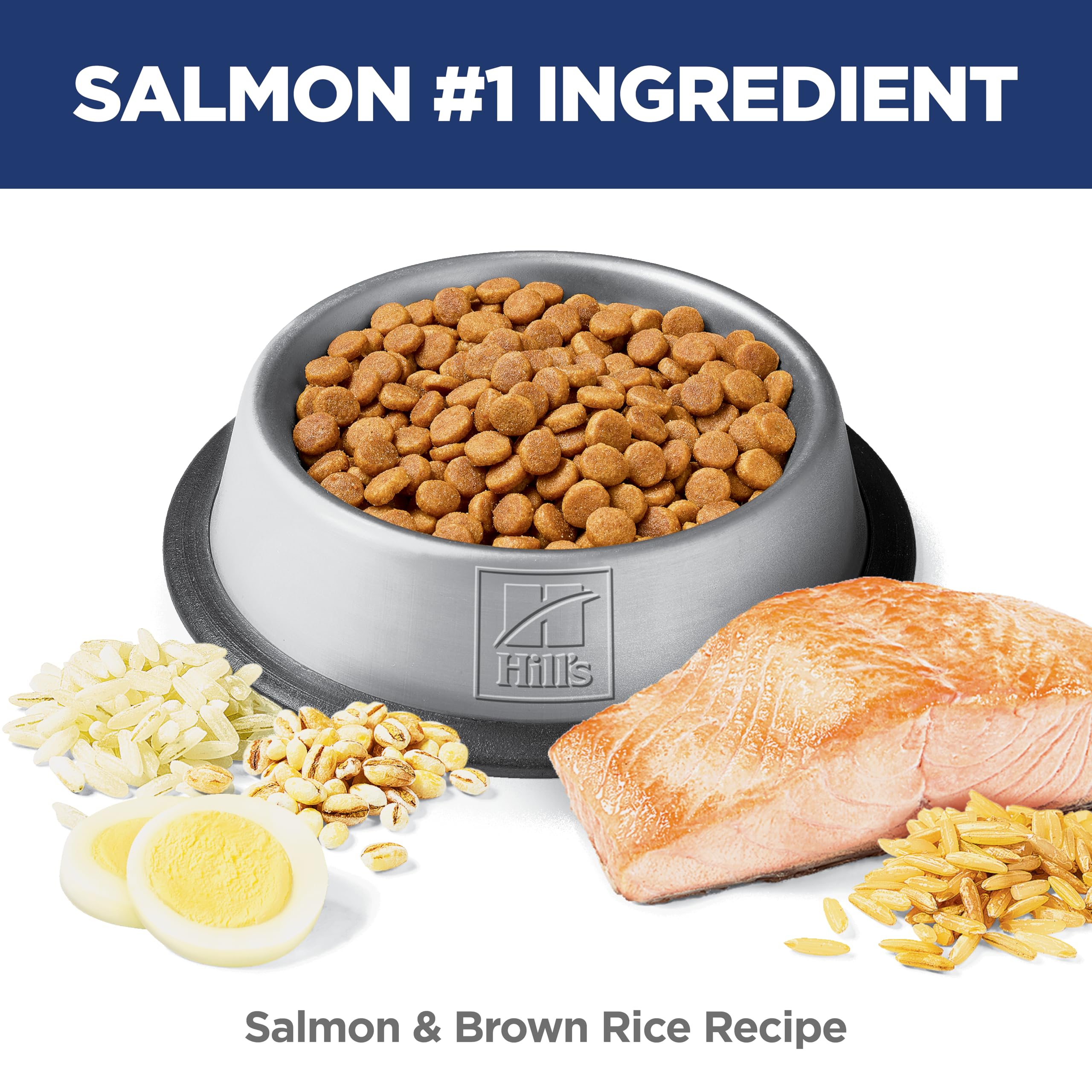 Hill's Science Diet Adult Sensitive Stomach & Skin Dry Cat Food, Chicken & Rice, 7 lb. Bag (Updated Formula): Salmon 13 Pound (Pack of 1)