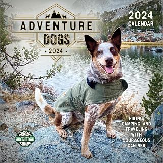 Adventure Dogs 2024 Wall Calendar: Hiking, Camping and Traveling with Courageous Canines | 12" x 24" Open | Amber Lotus Publishing