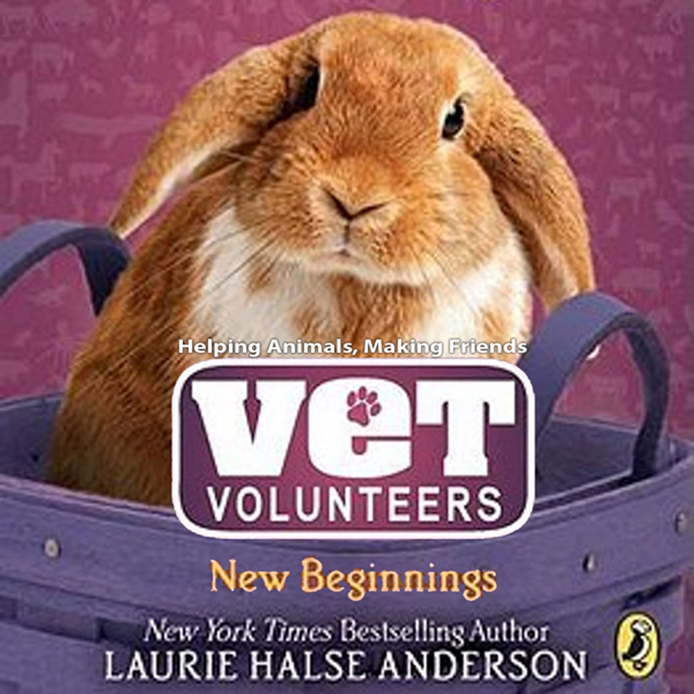 Cover art for New Beginnings: Vet Volunteers, Book 13