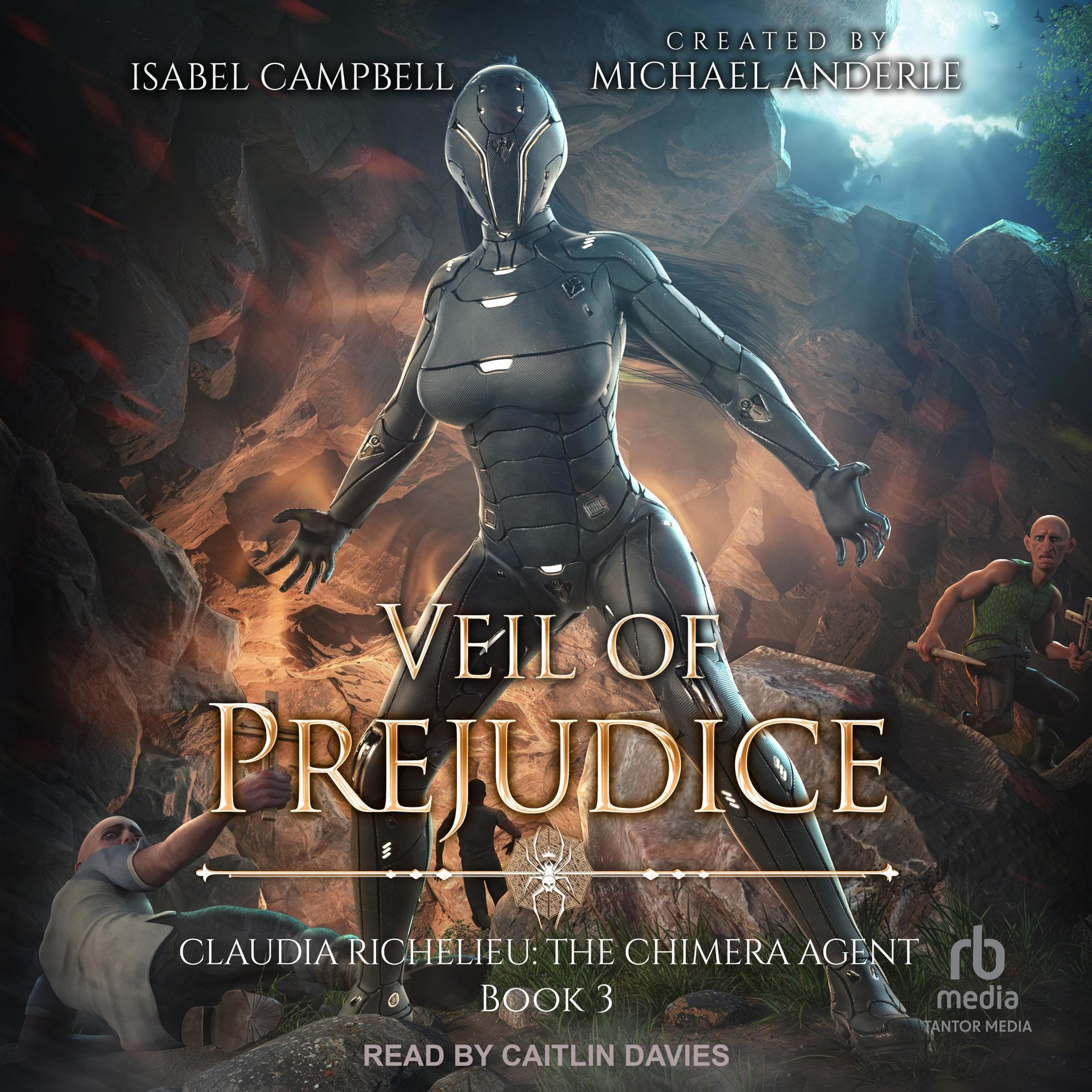 Cover art for Veil of Prejudice