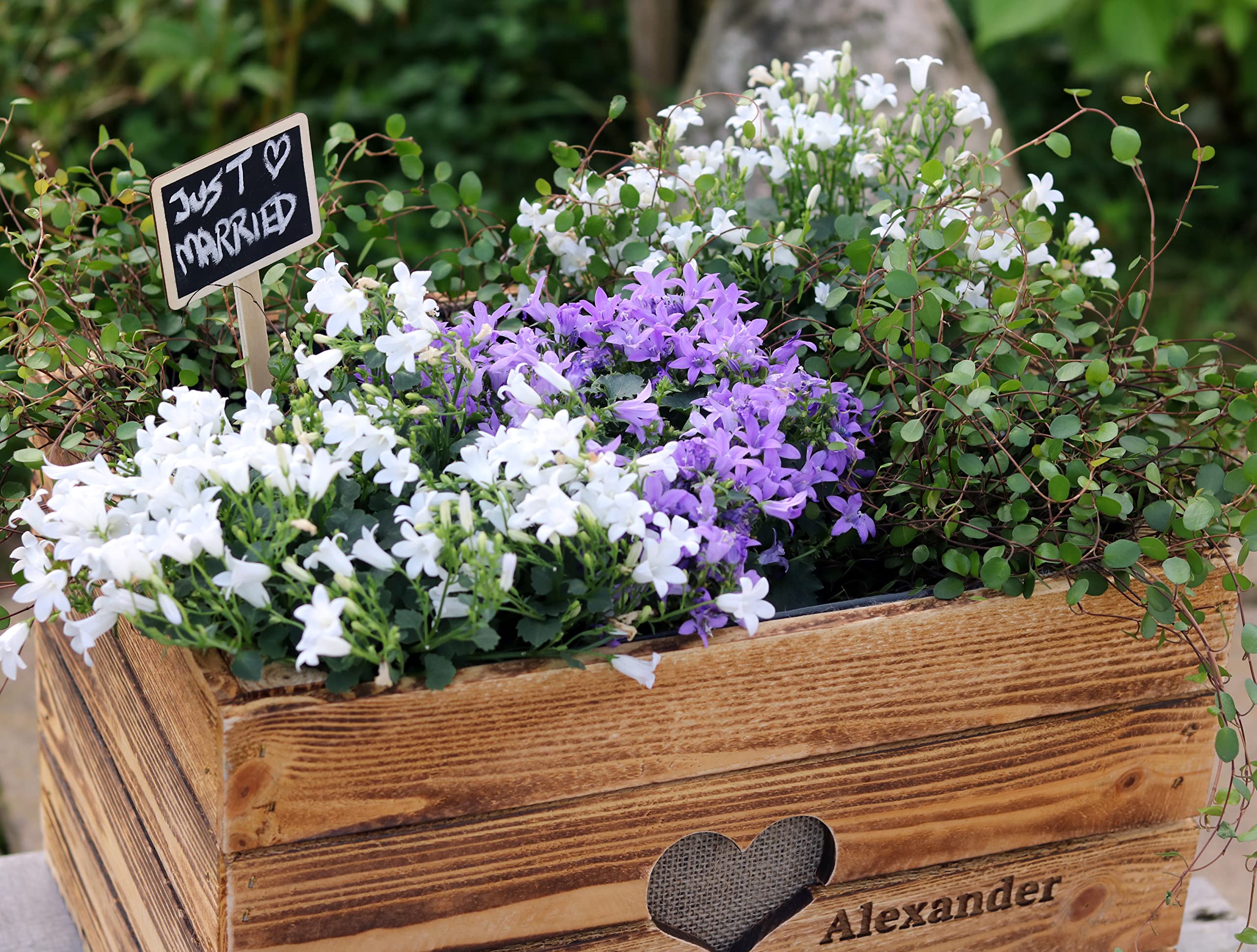 Rustikale GESCHENKEKISTE HOCHBEET Hochzeit Weinkiste Vintage Hochzeitsgeschenk aus Holz PERSONALISIERT Hölzerne Jahrestag BoHo Geldgeschenk
