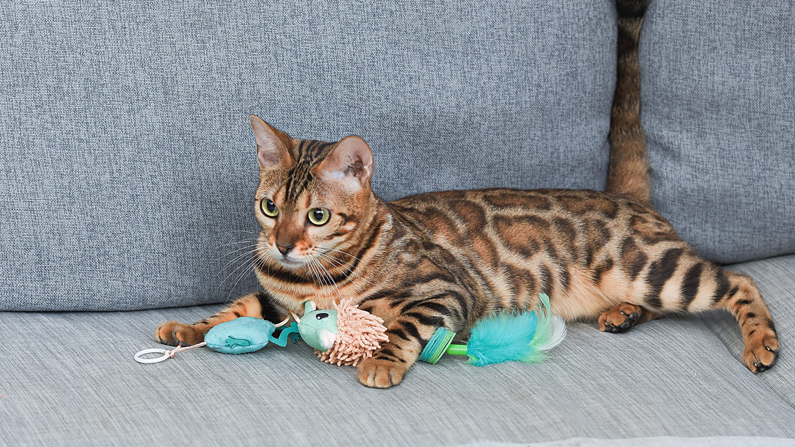 STAR WARS Juguete para gatos GROGU para mascotas con peluche, plumas y pompones | Juguete para gatos hinchable con GROGU hambriento | Juguete interactivo para gatos, juguete de baile con plumas |