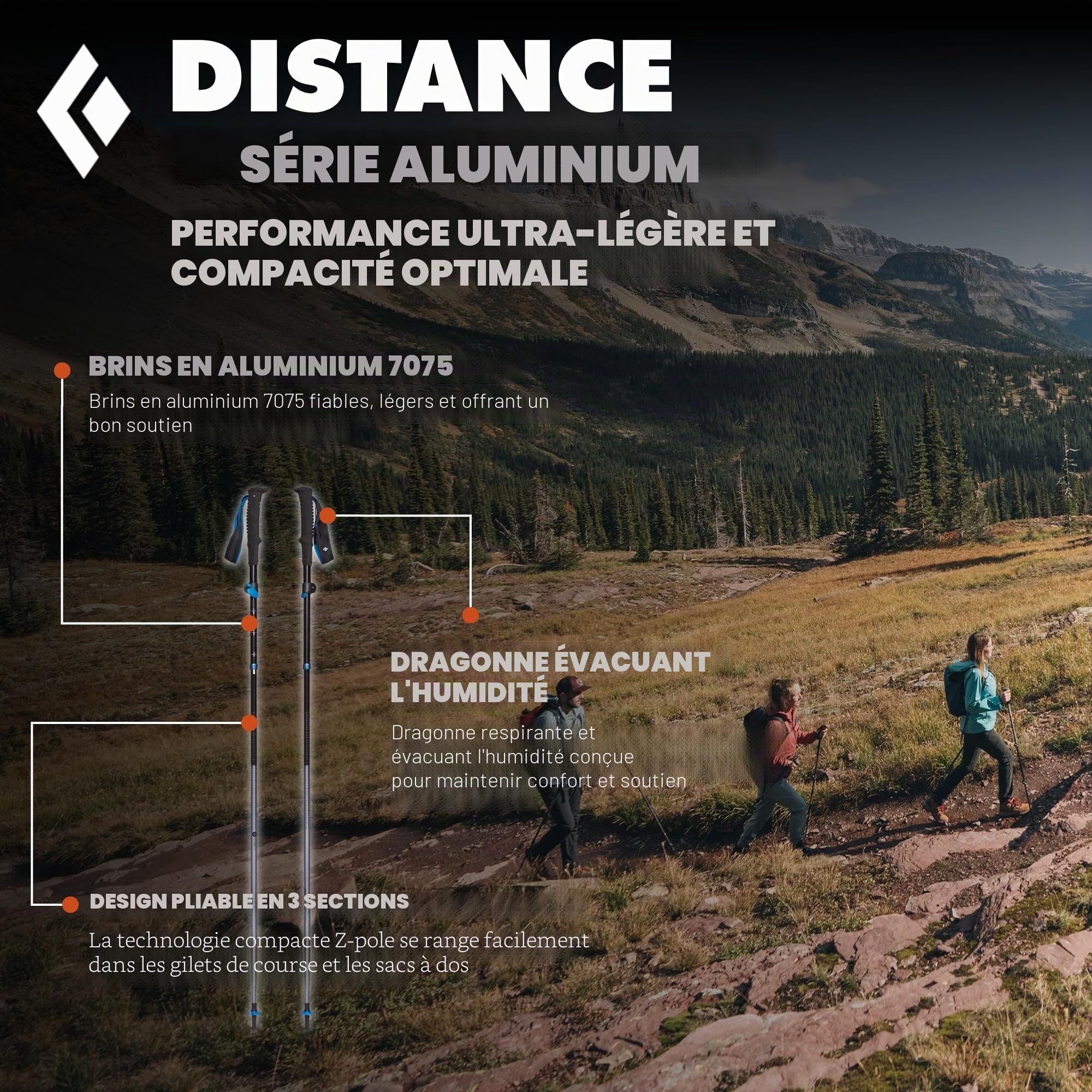 Black Diamond Distance FLZ Trek Poles – AW24