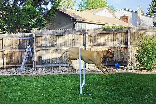 Miniatura 2 de Juego de cursos de equipo de entrenamiento de agilidad para perros, postes de tejido, salto de agilidad para perros con tazas de salto de agilidad