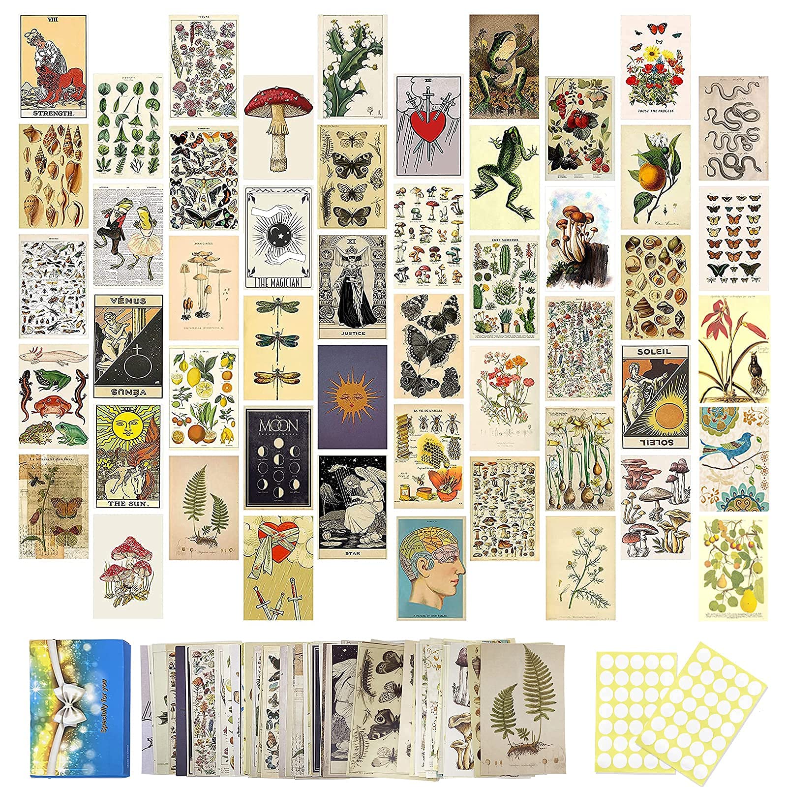 Buy Cadelon 50PCS Vintage Botanical Illustration, Tarot Aesthetic Photo