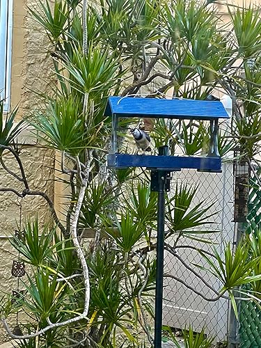 Miniatura 7 de Kit de poste de montaje universal ideal para casas de pájaros y comederos de pájaros poste resistente con conexiones roscadas