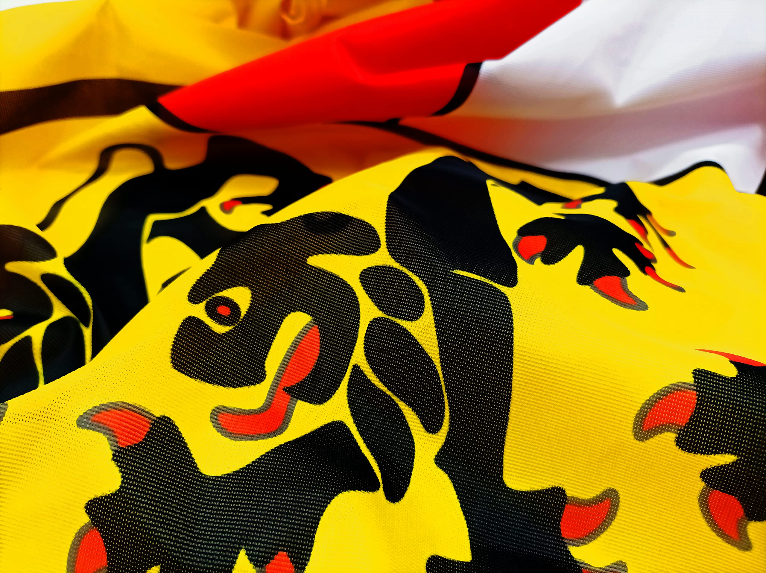 Premium Flagge Kärnten 100x150cm - 115g/m² Stoffgewicht - gedruckt, robustes und witterungsbeständiges Glanzpolyester mit Ösen (100 x 150 cm, Kärnten)