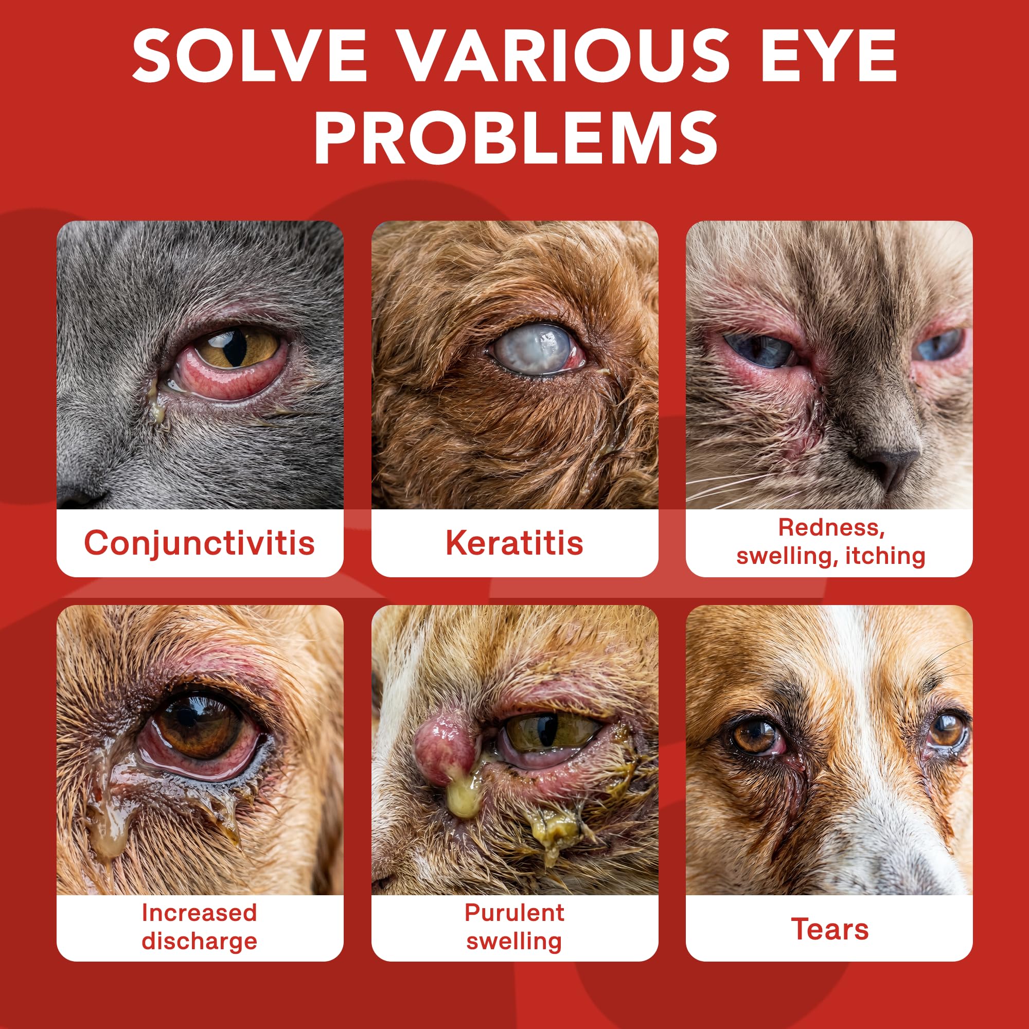 Eye Care Drops for Dogs & Cats – Supports Healthy Vision & Comfort, Preservative-Free, Natural Formula, 1.69 fl oz — Amazon image 4